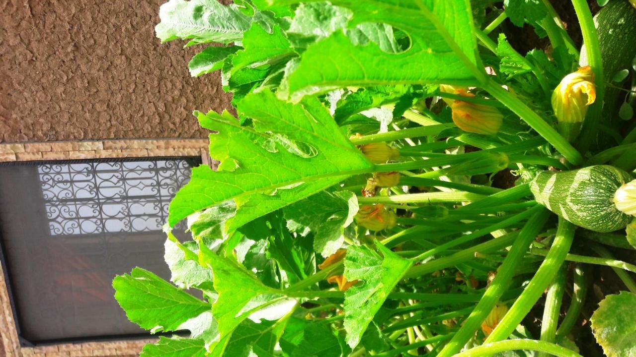 Ouirgane Ecolodge 外观 照片