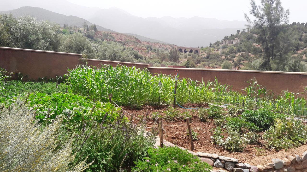 Ouirgane Ecolodge 外观 照片