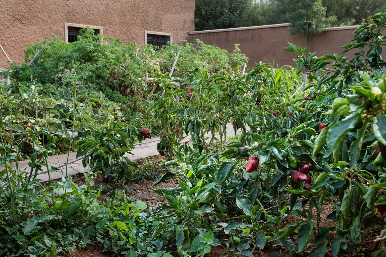 Ouirgane Ecolodge 外观 照片